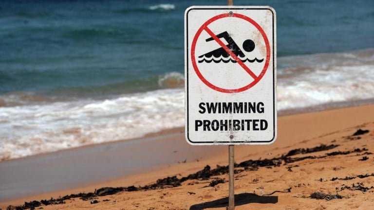 Teen's Fatal Shark Attack at Bribie Island Sparks Community Vigil and Investigation