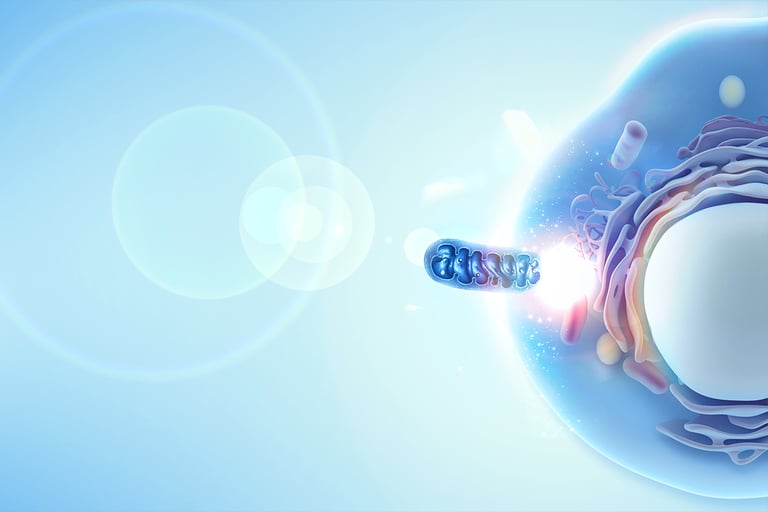 Swiss Biotech Cellvie Secures $5M to Revolutionize Aging Therapies with Mitochondria Transplants
