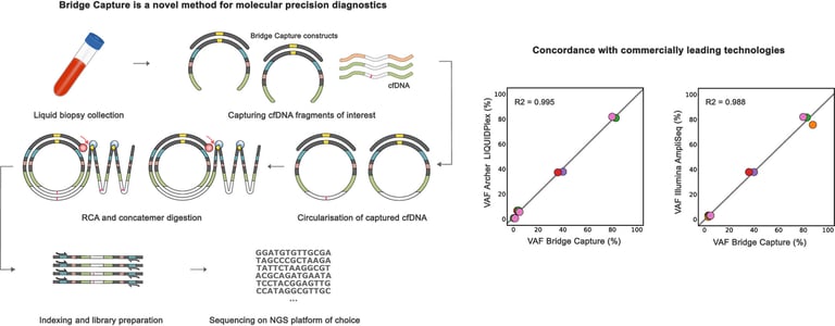 Bridge Capture: Revolutionizing Liquid Biopsy with Cost-Effective, High-Sensitivity Testing for Cancer Care