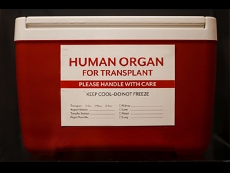 Breakthrough in Heart Transplant: Canrenone Extends Donor Heart Viability, Boosts Transplant Success