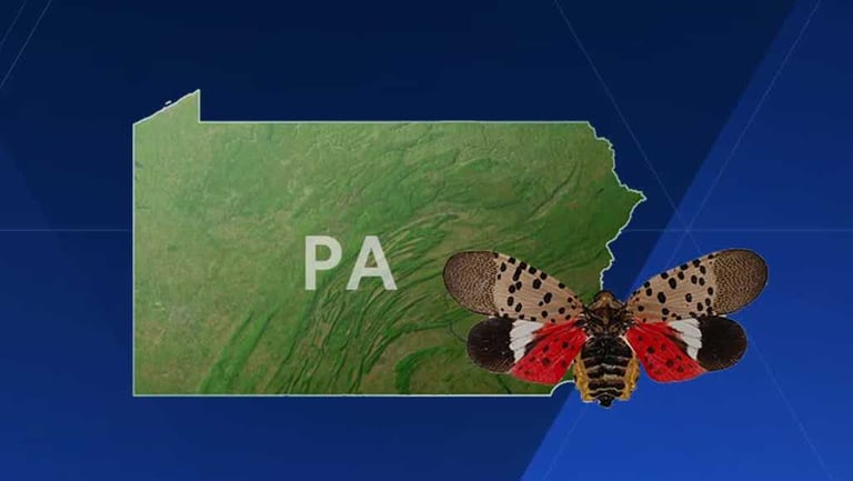 Senators Unite to Combat Spotted Lanternfly Threat with New Research Bill