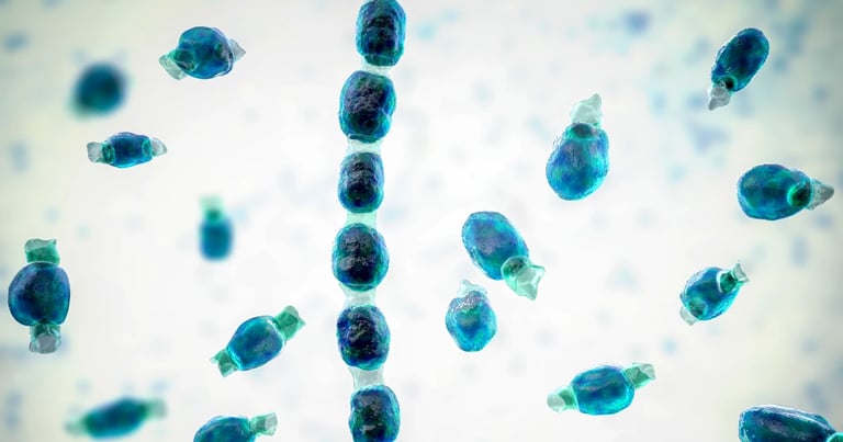 California Warns of Valley Fever Surge After Festival Outbreak and Record Cases