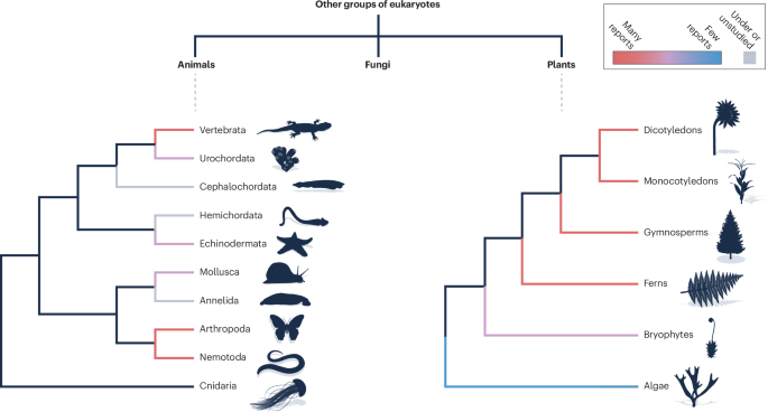Hybrid Genomes Drive Evolution: New Insights into Introgression Across Species