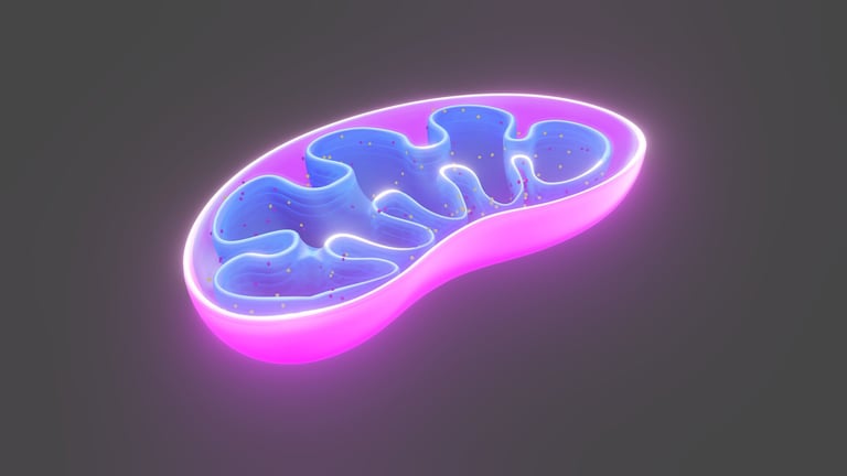 Study Reveals Mitochondrial Dysfunction as Key Driver of Neuron Loss in MS, Affecting Motor Skills