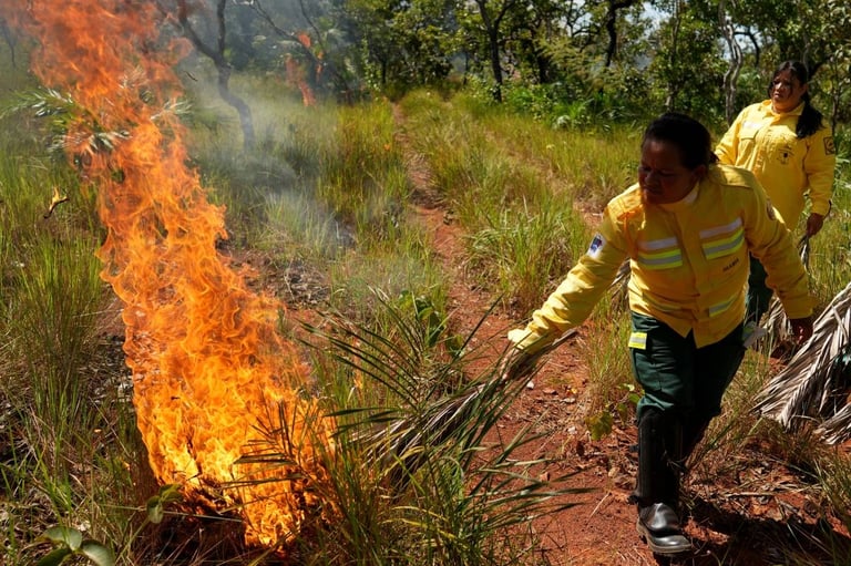 Indigenous-Led Fire Management Combines Tradition and Science to Protect Brazil's Cerrado During Droughts