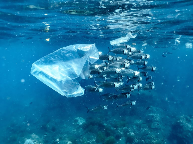 Deep-Sea Microplastic Invasion: 92% of Hydrothermal Vent Wildlife Contaminated, Study Reveals Alarming Findings