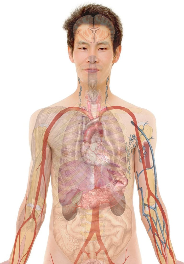 New Study Unveils Split-Integrated Stress Response, Revolutionizing Cellular Stress Understanding