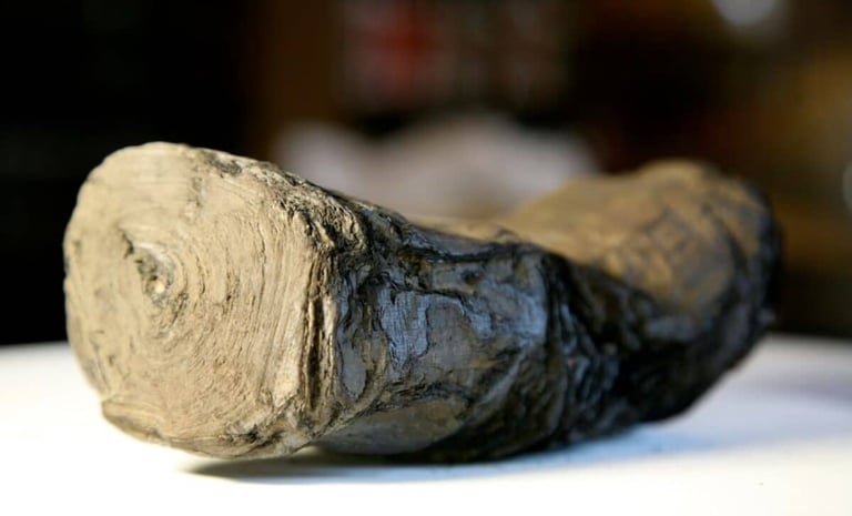 AI and X-Ray Breakthroughs Reveal Text from Herculaneum Scrolls