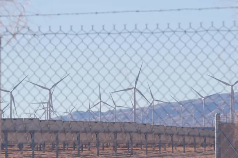 Green Economy Surges: $5 Trillion Market, India Leads Renewable Growth