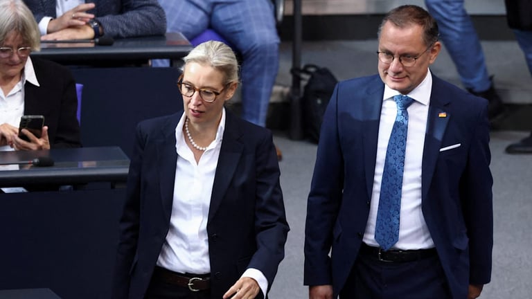 AfD Surges Ahead: Polls Show Record High, CDU/CSU Lagging Behind Amidst Leadership Discontent