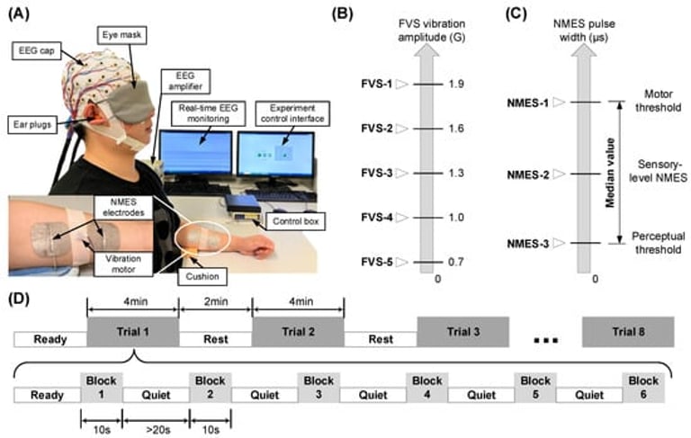 New Hope for Stroke Recovery: rTMS Shown to Boost Brain Plasticity