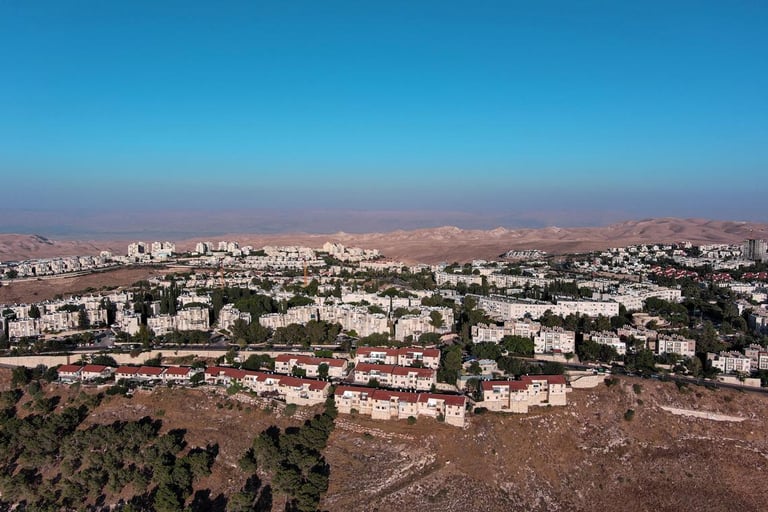 Nine EU Nations Demand Trade Ban on Israeli Settlements in Occupied Palestinian Territories