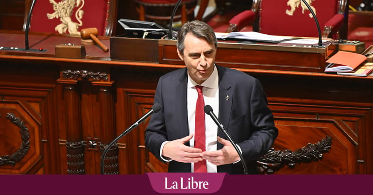 Vincent Blondel Elected as Final President of Belgian Senate Amid Plans for Abolition by 2029