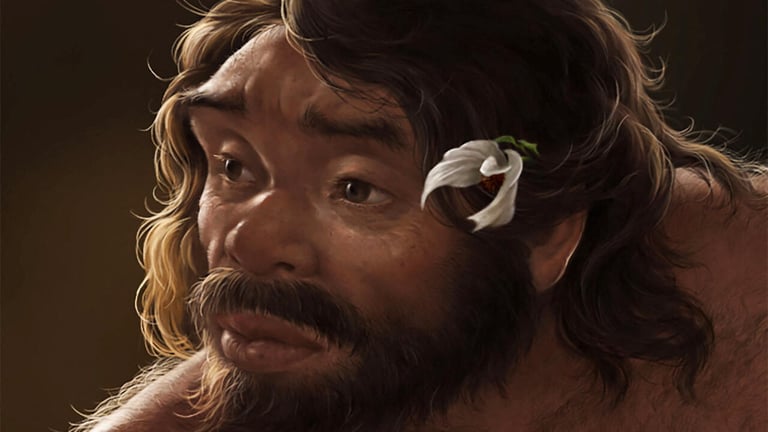 Ancient Skull Discovery in China Challenges Human Evolution Timeline