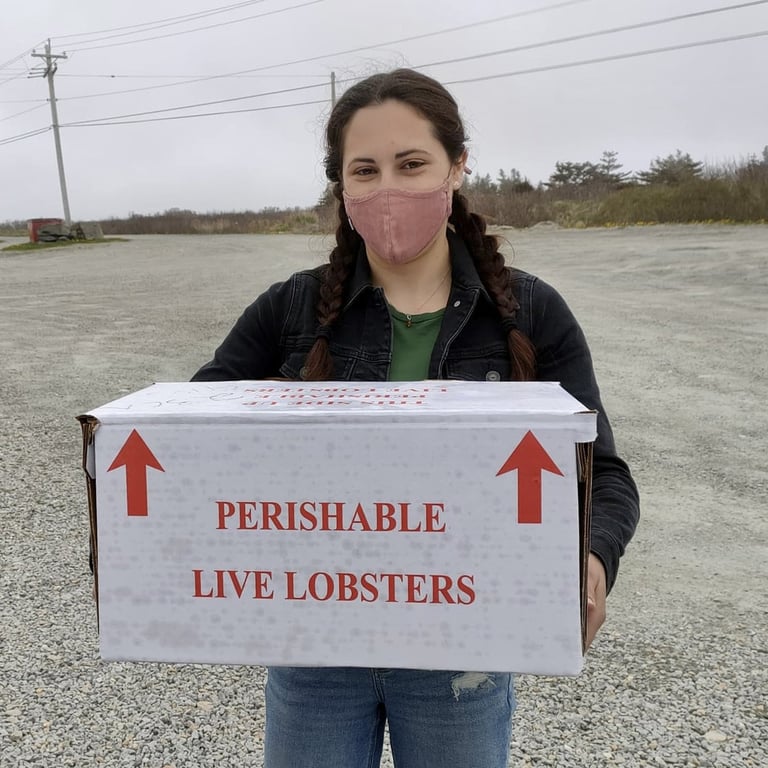 Microplastics Found in Nova Scotia Lobsters: Study Reveals Links to Polyester Clothing and Marine Materials