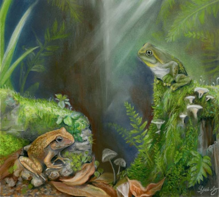 Ancient Tree Frog Fossil in Australia Pushes Back Record by 30 Million Years
