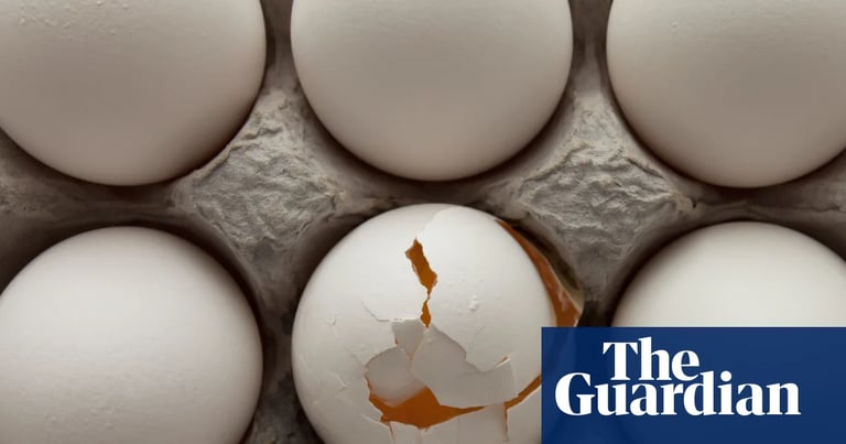 ACCC Sues Sunny Queen, 11 Egg Producers for Alleged Cartel, Concerted Practices in Landmark Case