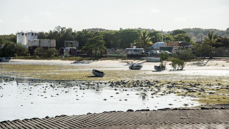 Alice Queen Revamps Horn Island Gold Project Strategy Amidst Skyrocketing Gold Prices