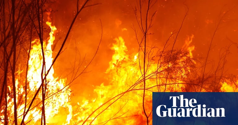 Study Links Colonial Land-Use Changes to Increased Wildfire Risk in Australia