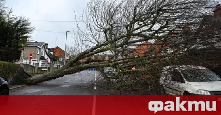 Storm Eowyn Pummels UK and Ireland: Red Wind Warning, Flood Alerts, and Travel Disruptions