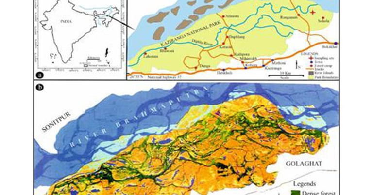 Climate Shifts and Human Activity Drive Rhinoceros Migration to Kaziranga, Study Reveals