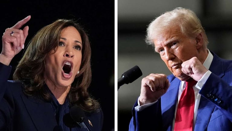 2024 Election Showdown: Harris vs. Trump in Tight Race Amid Swing State Battles and Assassination Attempt