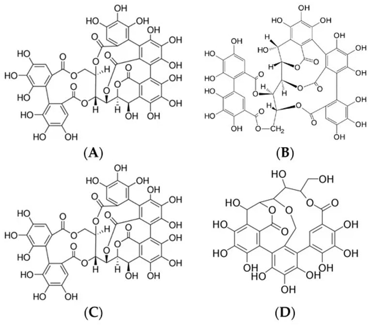 Wood Distillate and Chestnut Extracts: New Frontiers in Antioxidant, Anti-Inflammatory, and Anticancer Treatments