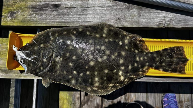 South Carolina Launches First-Ever Southern Flounder Stocking to Boost Coastal Fisheries