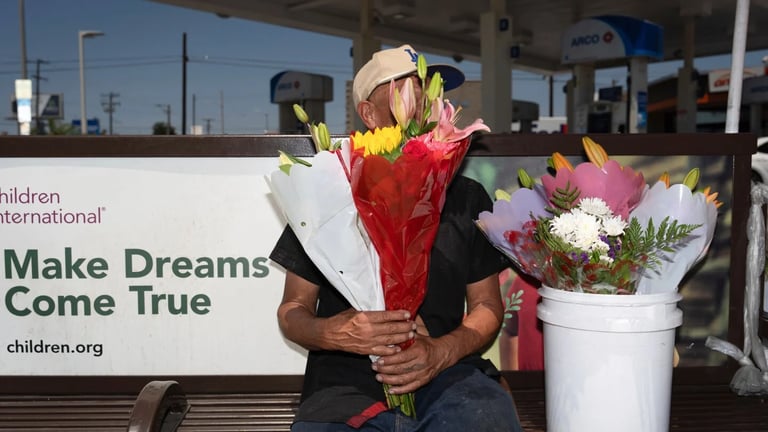 Democratic States Defend Immigrants, Clash with Republican States Over Federal Enforcement Policies