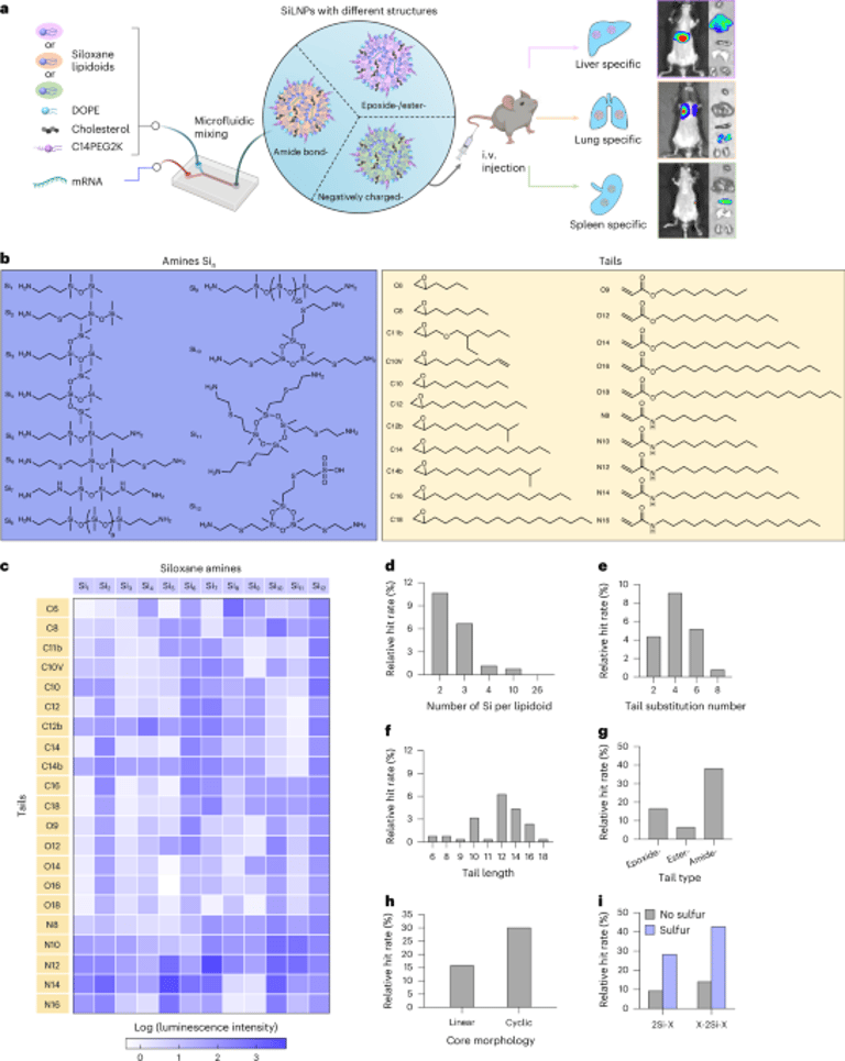 Breakthrough mRNA Vaccine Research Shows Promise for Infectious Diseases and Cancer Therapy