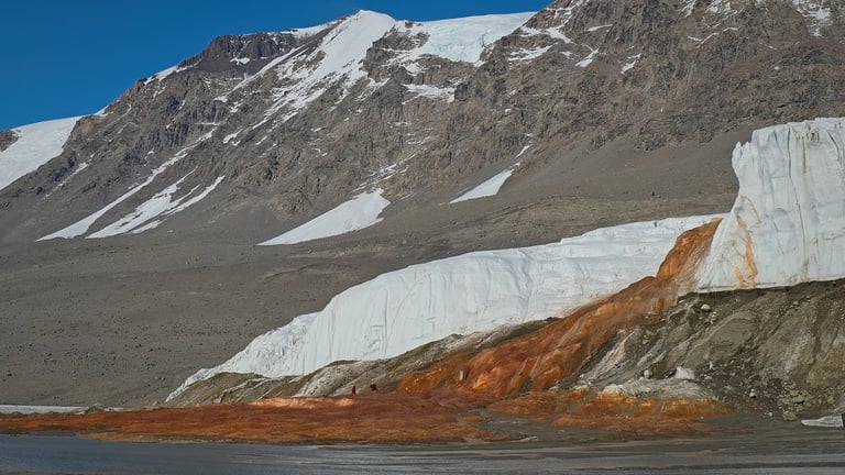 Blood Falls' Marine Microbes Reveal Antarctica's Ancient Seawater Origins and Climate Resilience