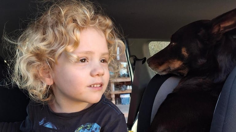 Family of Missing Boy Gus Under Scrutiny as Police Face Non-Cooperation in Search Investigation