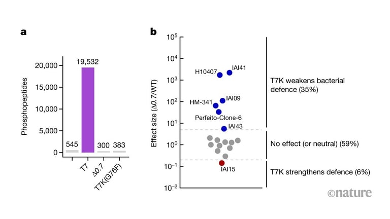 Phage T7 Kinase Disables Bacterial Defenses by Phosphorylating Key Proteins