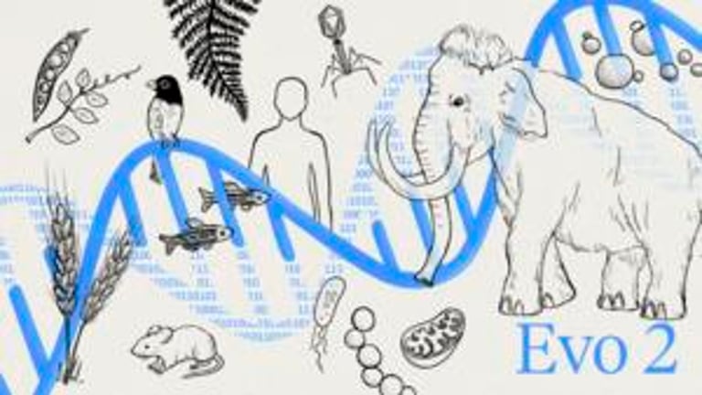 Evo 2: Revolutionizing DNA Research with AI-Powered Genome Analysis and Design