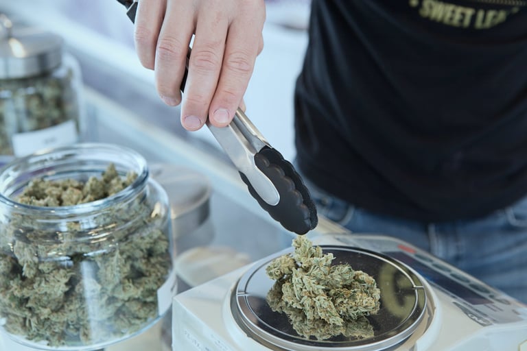 Rising Cannabis Potency Linked to Surge in Schizophrenia Risk, Study Finds