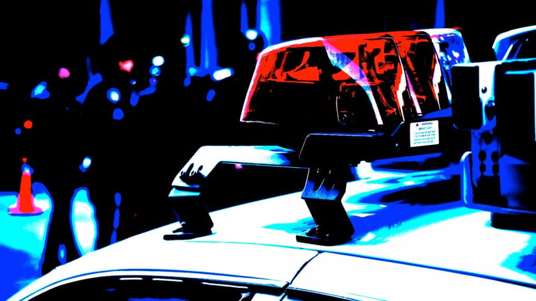 Extradited from Fiji: Georgia Man Faces Charges in $165M Crypto Ponzi Scheme