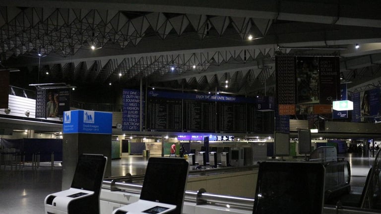 Dormouse Causes Major Power Outage at Frankfurt Airport, Disrupting Flights and Stranding Passengers