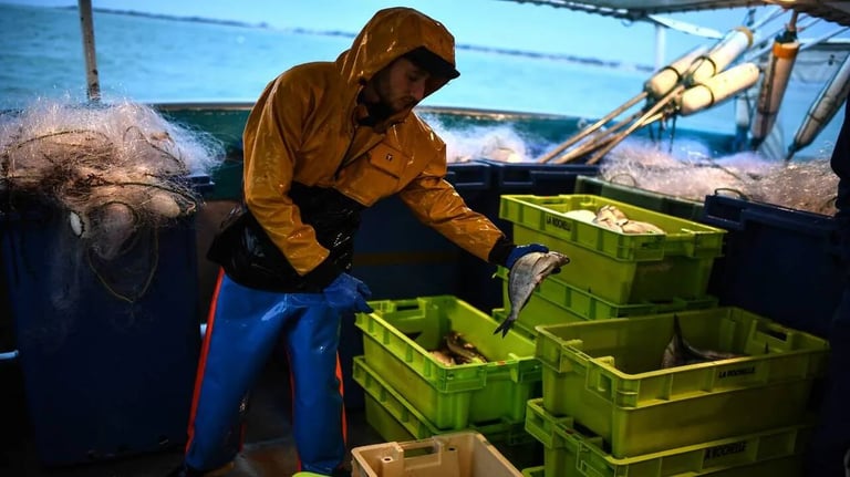 Gulf of Gascogne Fishing Resumes After Dolphin-Saving Ban; Financial Strain on Ports Persists