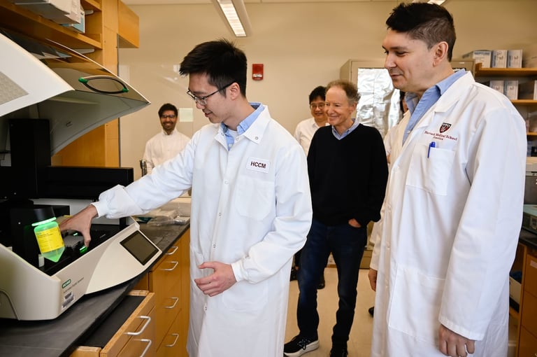 Groundbreaking Study Finds Low-Dose Lithium May Reverse Alzheimer's Cognitive Decline