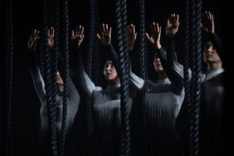 'Destination: Origin' Premieres, Unveiling Flight, Exile, and Iranian Regime Critique