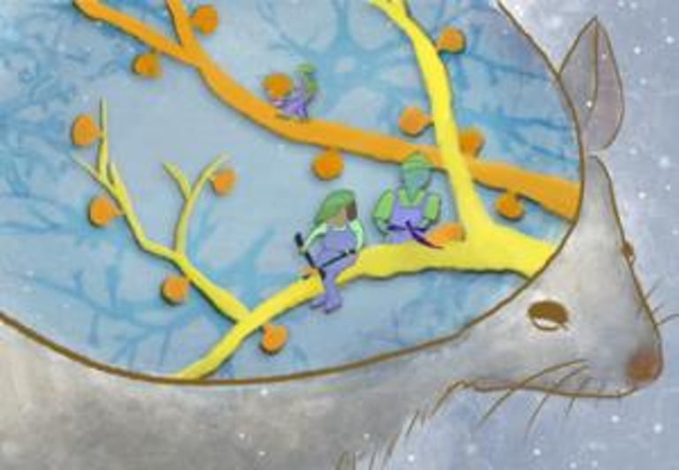 Surprising Study Finds Memory Retention Intact Despite Major Synapse Loss in Artificial Hibernation