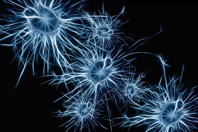 Breakthrough Study Identifies Key Protein as Target for Alzheimer's Therapy
