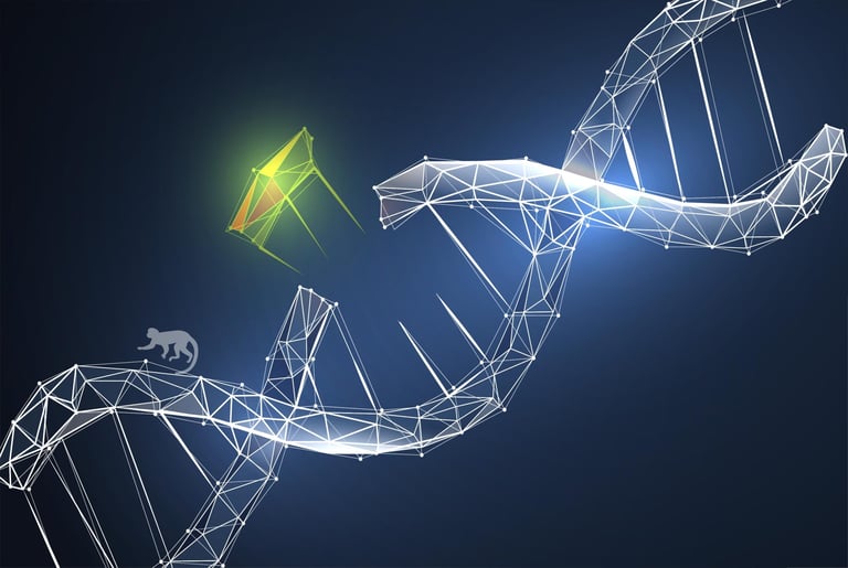Japanese Scientists Revolutionize Primate Genetic Engineering with Nonviral PiggyBac System