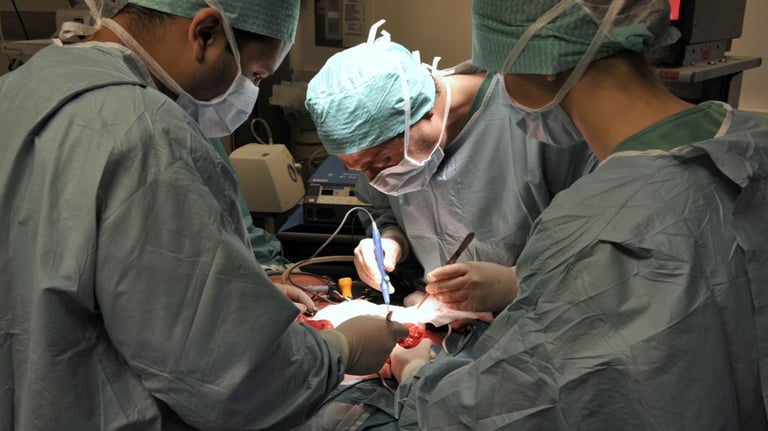 First-Ever Human Bladder Transplant Marks Milestone in U.S. Medical Innovation