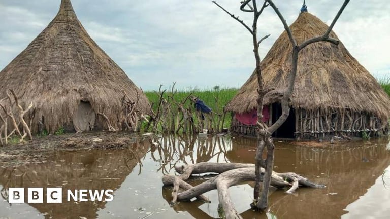 South Sudan Faces Devastating Floods: Over 11 Million Affected, Aid Efforts Hindered by Impassable Roads