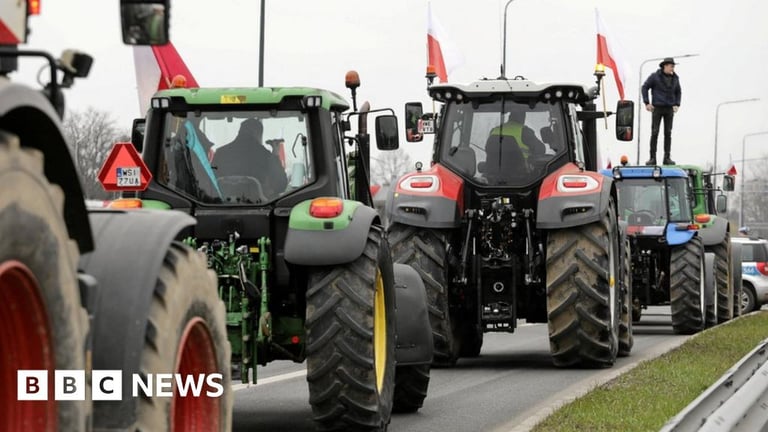 EU Extends Ukraine's Duty-Free Imports with Caps Amid Farmer Unrest