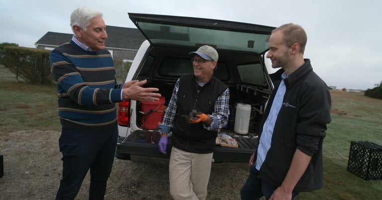 Gene-Edited Mice Could Combat Lyme Disease on Nantucket: A Bold Step in Public Health Innovation