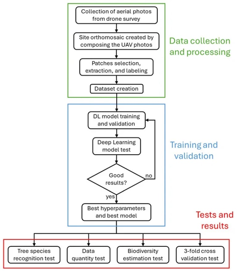 UAVs Revolutionize Cotton and Forest Management: AI Models Enhance Crop Health and Biomass Estimation