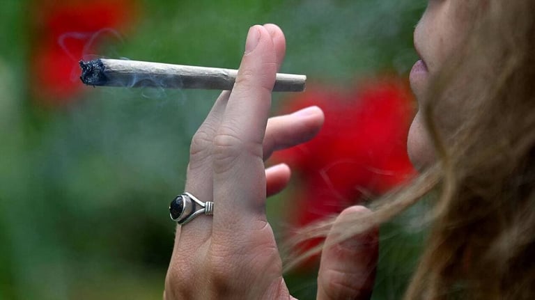 Australia Urged to Tighten Medicinal Cannabis Regulations Amid Rising Health Concerns