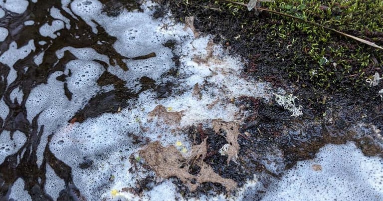 Massive Chemical Spill Devastates River Spey Tributary, Delays Salmon Recovery for Up to 5 Years
